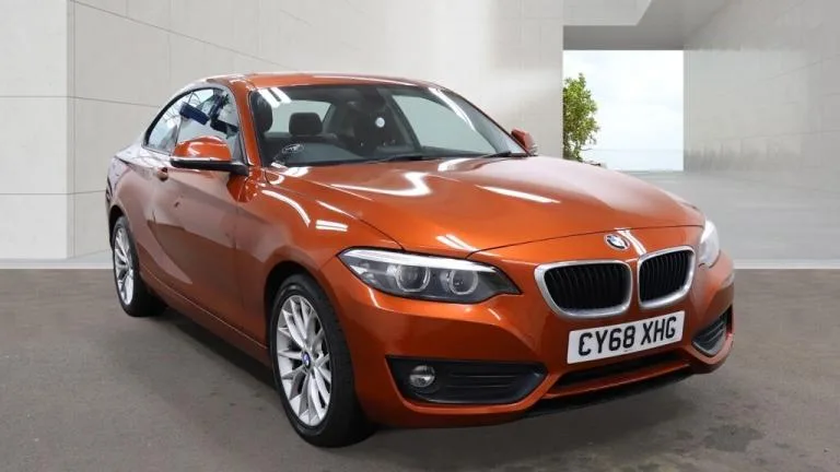 2019 BMW 2 Series 218i SE 2dr ++ PRO MEDIA / NAV / ULEZ / DAB / BLUETOOTH ++ COUPE Petrol Manual