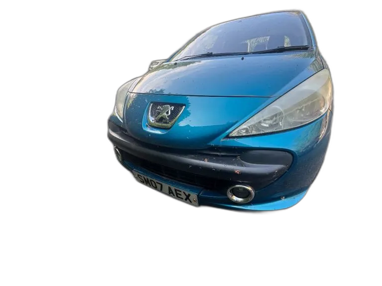 Peugeot, 207, Hatchback, 2007, Manual, 1587 (cc), 3 doors