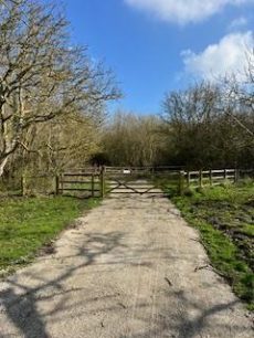 Wet Lane, Boxted CO4 Woodland for sale – £125,000