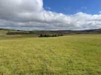 Rogart, Sutherland IV28 Croft for sale – £110,000